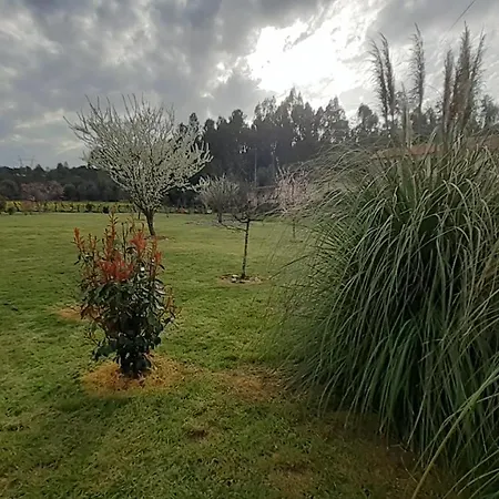 Casa De Coco Дом отдыха Вила-Нова-ди-Пояриш