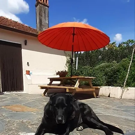 Casa De Coco Casa de Férias *