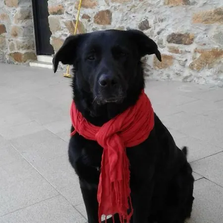 Casa De Coco Дом отдыха *