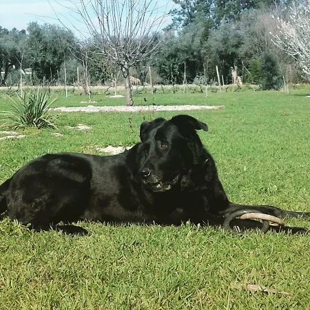 Casa De Coco *