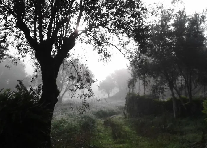 Casa De Coco * Вила-Нова-ди-Пояриш