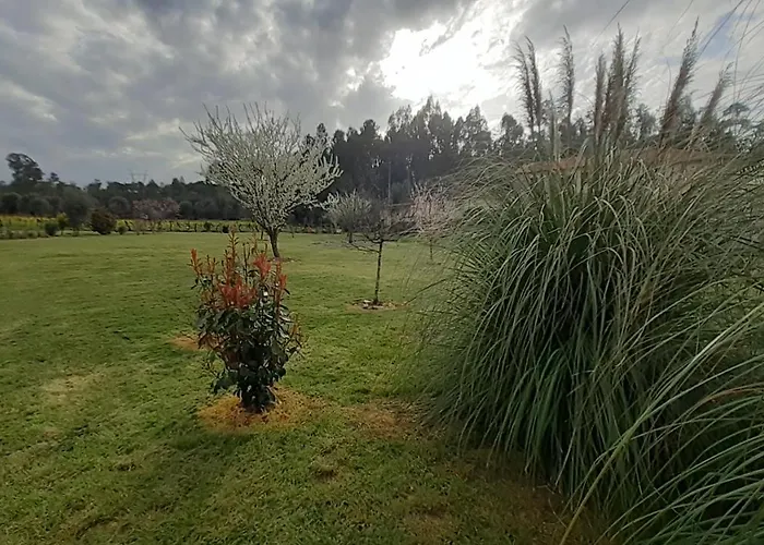 Casa De Coco Дом отдыха Вила-Нова-ди-Пояриш