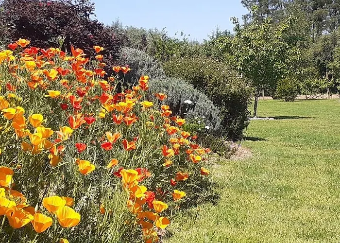 Дом отдыха Casa De Coco Вила-Нова-ди-Пояриш