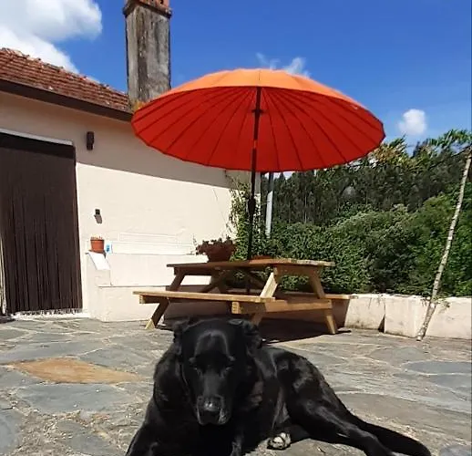 Casa De Coco Vakantiehuis *