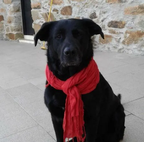 Casa De Coco Vakantiehuis *